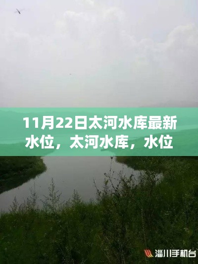 太河水库水位最新动态，水位变迁与生态影响的纪实