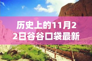 谷谷口袋最新版革新之路，历史上的11月22日回顾