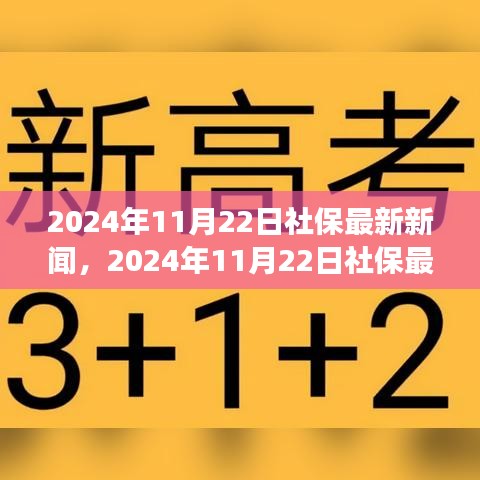 2024年11月22日社保动态更新，改革进展与未来展望