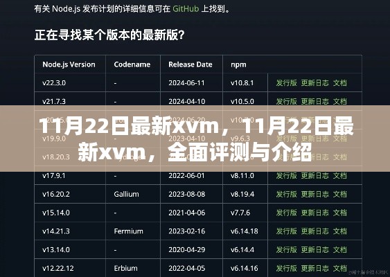 最新xvm全面评测与介绍，深度探讨其优势与特点