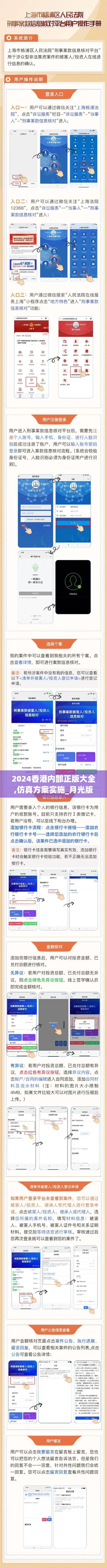 2024香港内部正版大全,仿真方案实施_月光版VKS2.51