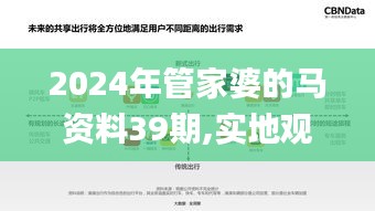 2024年管家婆的马资料39期,实地观察数据设计_影音体验版NPA2.33