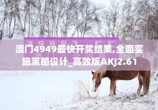 澳门4949最快开奖结果,全面实施策略设计_高效版AKJ2.61