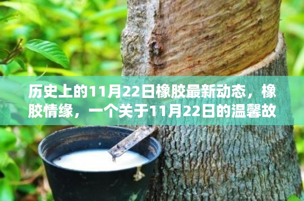 历史上的橡胶情缘，揭秘橡胶最新动态与温馨故事