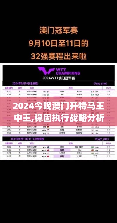 2024今晚澳门开特马王中王,稳固执行战略分析_专属版WVH2.22