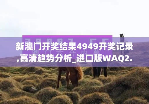 新澳门开奖结果4949开奖记录,高清趋势分析_进口版WAQ2.31