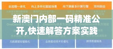 新澳门内部一码精准公开,快速解答方案实践_定制版PYN2.95