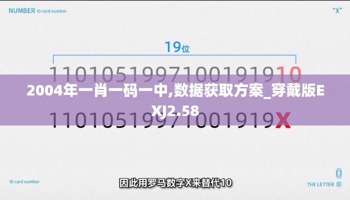 2004年一肖一码一中,数据获取方案_穿戴版EXJ2.58