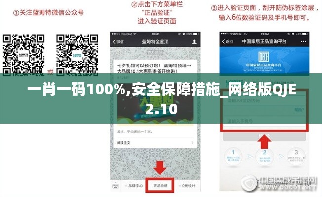 一肖一码100%,安全保障措施_网络版QJE2.10