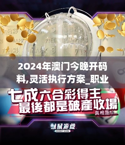 2O24年澳门今晚开码料,灵活执行方案_职业版BLZ2.15