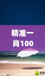 精准一肖100%免费,实地应用实践解读_目击版MQQ2.76