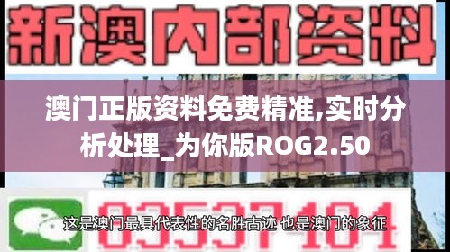 澳门正版资料免费精准,实时分析处理_为你版ROG2.50