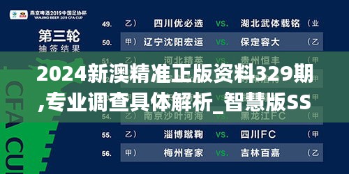 2024新澳精准正版资料329期,专业调查具体解析_智慧版SSJ11.31