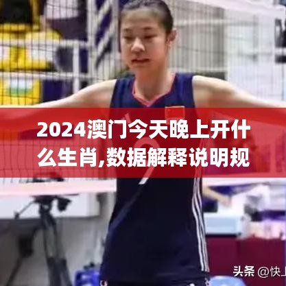 2024澳门今天晚上开什么生肖,数据解释说明规划_改进版QFG2.95