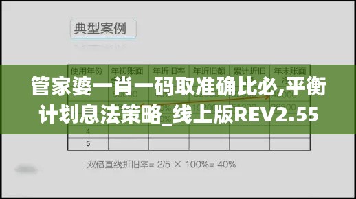 管家婆一肖一码取准确比必,平衡计划息法策略_线上版REV2.55