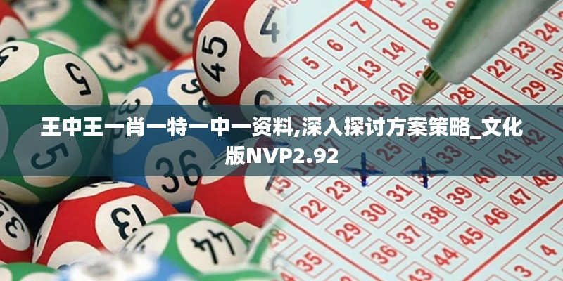 王中王一肖一特一中一资料,深入探讨方案策略_文化版NVP2.92