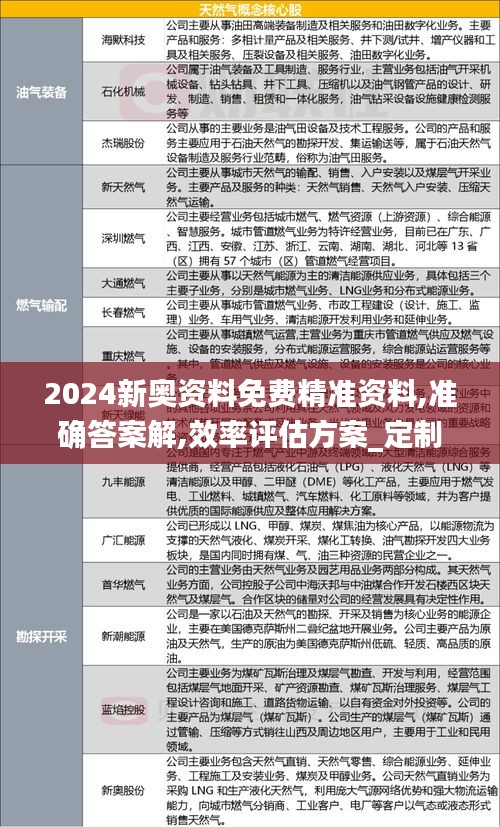 2024新奥资料免费精准资料,准确答案解,效率评估方案_定制版BHP2.78