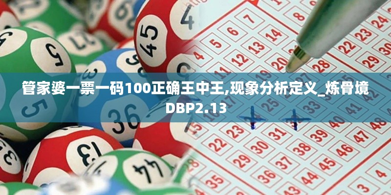 管家婆一票一码100正确王中王,现象分析定义_炼骨境DBP2.13