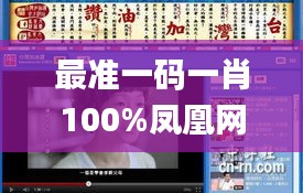 最准一码一肖100%凤凰网,实地验证实施_影音体验版UKU2.10