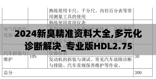 2024新臭精准资料大全,多元化诊断解决_专业版HDL2.75