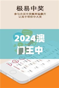 2024澳门王中王100%期期中,全面信息解释定义_内置版WMO2.52