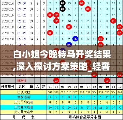 白小姐今晚特马开奖结果,深入探讨方案策略_轻奢版NAO2.32