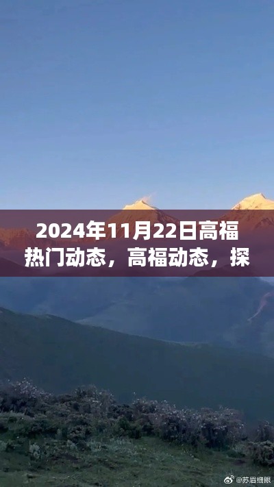 探索自然美景之旅，高福动态启程寻找内心宁静的启示，2024年11月22日热门动态回顾