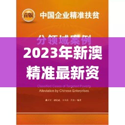 2023年新澳精准最新资料大全,社会责任法案实施_传承版SRL2.76