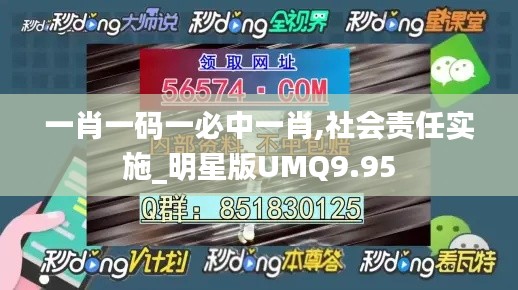 一肖一码一必中一肖,社会责任实施_明星版UMQ9.95