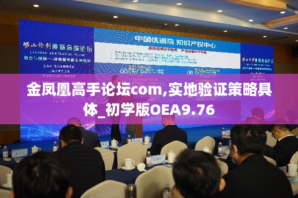 金凤凰高手论坛com,实地验证策略具体_初学版OEA9.76