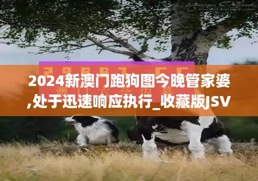 2024新澳门跑狗图今晚管家婆,处于迅速响应执行_收藏版JSV9.50