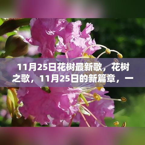 11月25日花树之歌，新时代的印记