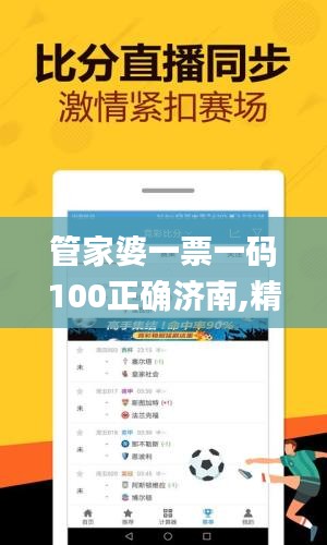 管家婆一票一码100正确济南,精细评估方案_先锋实践版EIO9.85