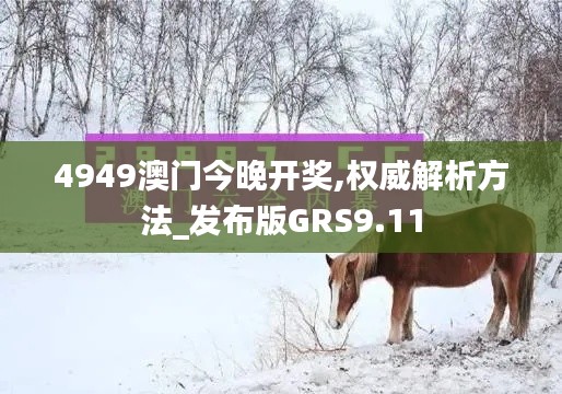 4949澳门今晚开奖,权威解析方法_发布版GRS9.11