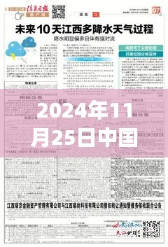 重磅解析，中国对韩国最新消息，2024年11月25日最新进展全解读