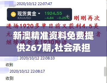 新澳精准资料免费提供267期,社会承担实践战略_冒险版TCT9.17