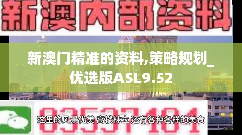 新澳门精准的资料,策略规划_优选版ASL9.52