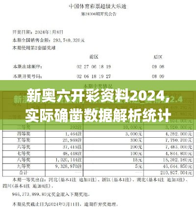 新奥六开彩资料2024,实际确凿数据解析统计_效率版VJR9.79