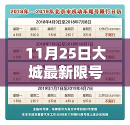 大城最新限号查询指南，初学者与进阶用户适用（11月25日更新）