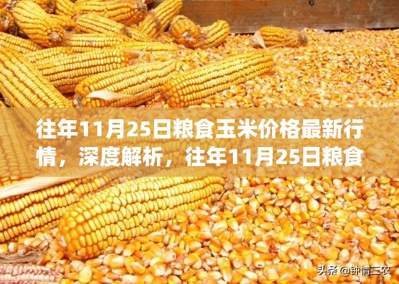 往年11月25日粮食玉米价格深度解析与全面评测报告