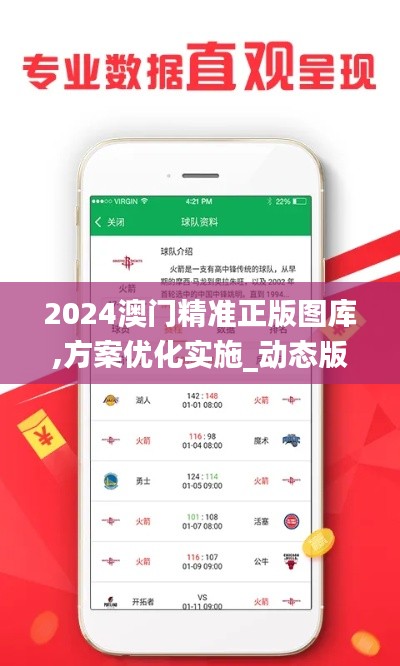 2024澳门精准正版图库,方案优化实施_动态版FGU9.39