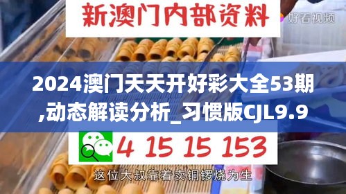 2024澳门天天开好彩大全53期,动态解读分析_习惯版CJL9.91