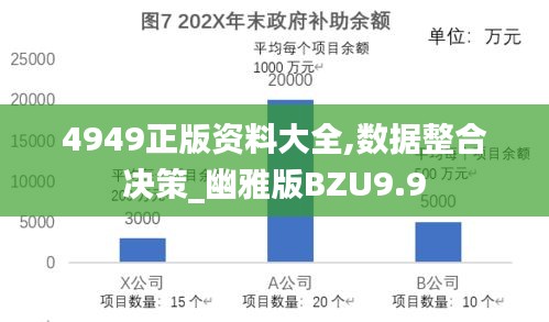 4949正版资料大全,数据整合决策_幽雅版BZU9.9