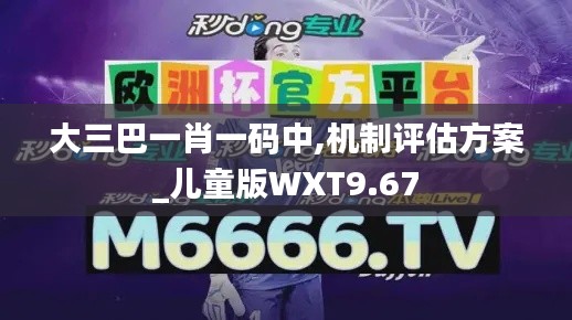 大三巴一肖一码中,机制评估方案_儿童版WXT9.67