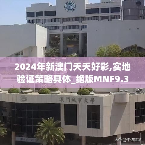 2024年新澳门夭夭好彩,实地验证策略具体_绝版MNF9.39