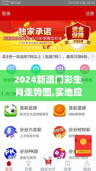 2024新澳门彩生肖走势图,实地应用实践解读_网络版WWS9.53