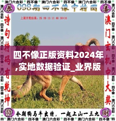 四不像正版资料2024年,实地数据验证_业界版PEB9.18