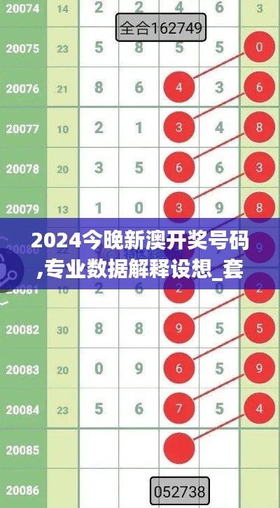 2024今晚新澳开奖号码,专业数据解释设想_套件版BWX9.35