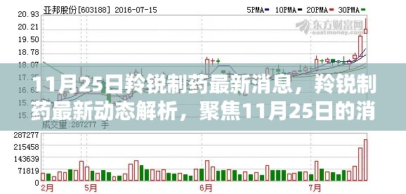 11月25日羚锐制药最新动态解析，深度探讨影响与前景