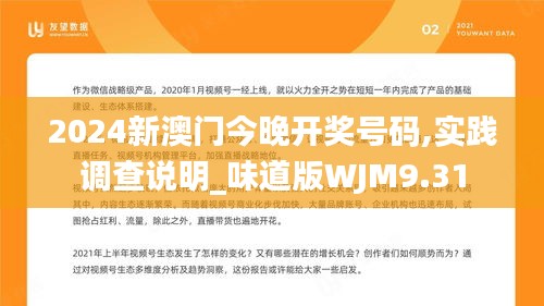 2024新澳门今晚开奖号码,实践调查说明_味道版WJM9.31